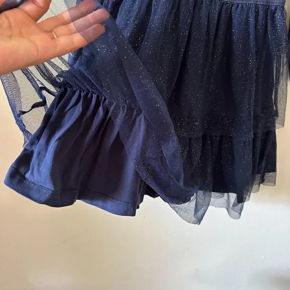 Hanna Andersson Tulle Sparkly Blue Ruffle Long Sleeve Dress C003 - Picture 3 of 4